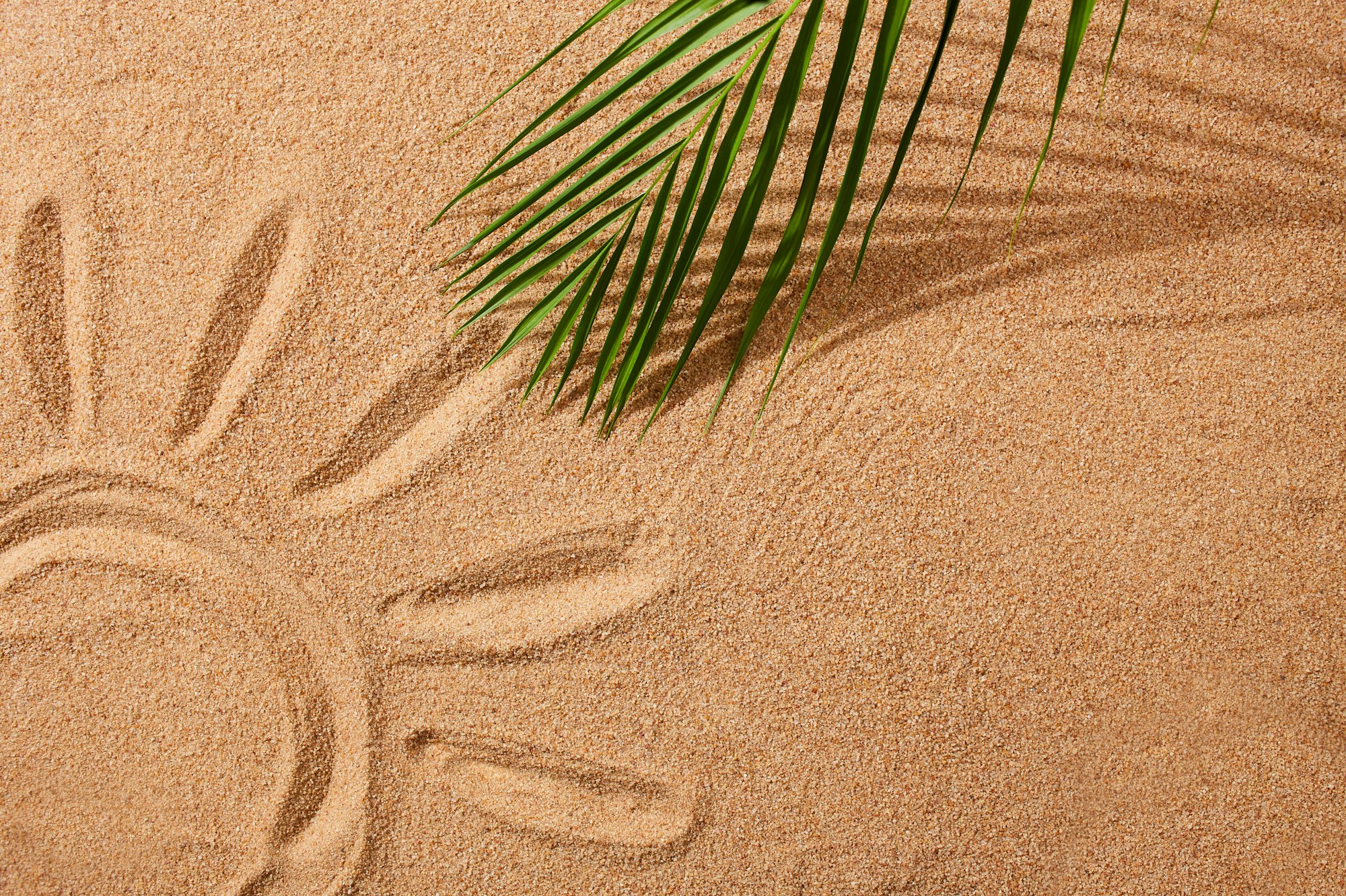 There is a drawing of the sun and a palm leaf on the sand.